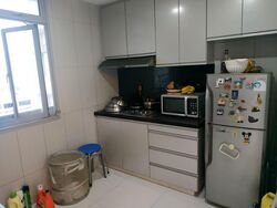 Evergreen View (D14), Apartment #575636191